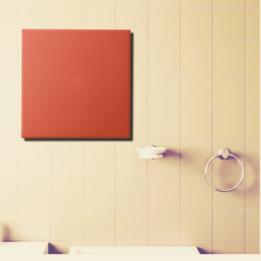 Terracotta vast tegeltje