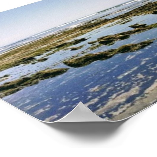 Terramar Beach-Carlsbad Poster (Hoek)