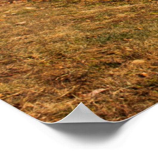 Terrapin Mountain in Autumn, Virginia Poster (Hoek)