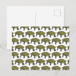 Terrapin (patroon wit) - Ansichtkaart Briefkaart
