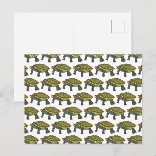 Terrapin (patroon wit) - Ansichtkaart Briefkaart (Voorkant / Achterkant)