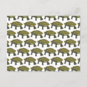 Terrapin (patroon wit) - Ansichtkaart Briefkaart (Voorkant)