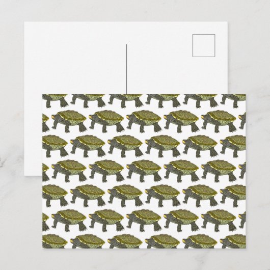 Terrapin (pattern white) - Postcard Briefkaart (Voorkant / Achterkant)