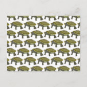 Terrapin (pattern white) - Postcard Briefkaart (Voorkant)