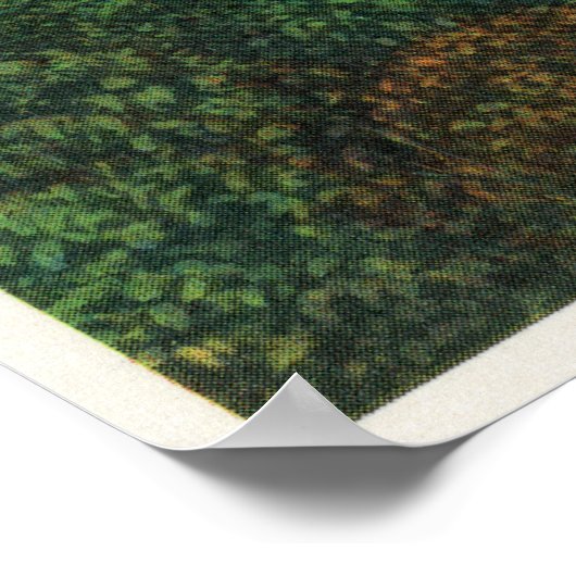 Terrapin Point Uitzicht van Canadese Herfsten Poster (Hoek)