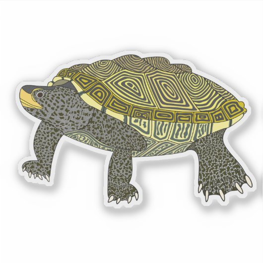 Terrapin - Vinyl Sticker (Voorkant)