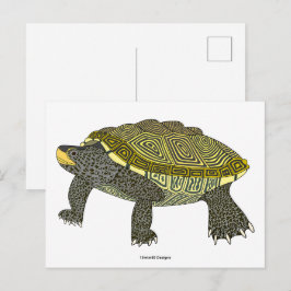 Terrapin (wit) - Ansichtkaart Briefkaart