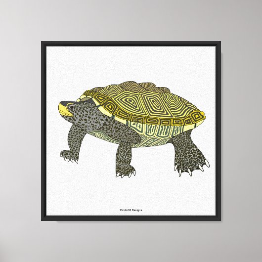 Terrapin (wit) - Canvasprint Canvas Afdruk (Voorkant)