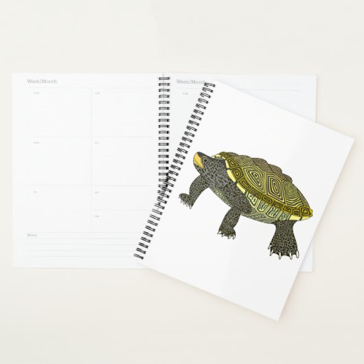 Terrapin (wit) - Planner (Display)