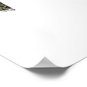 Terrapin (wit) - Posterprint Poster (Hoek)