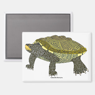 Terrapin (wit) - Rechthoekige magneet