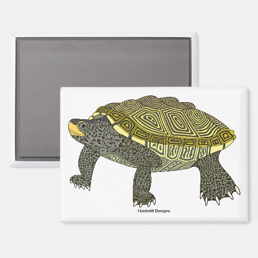 Terrapin (wit) - Rechthoekige magneet (Voorkant / Achterkant)