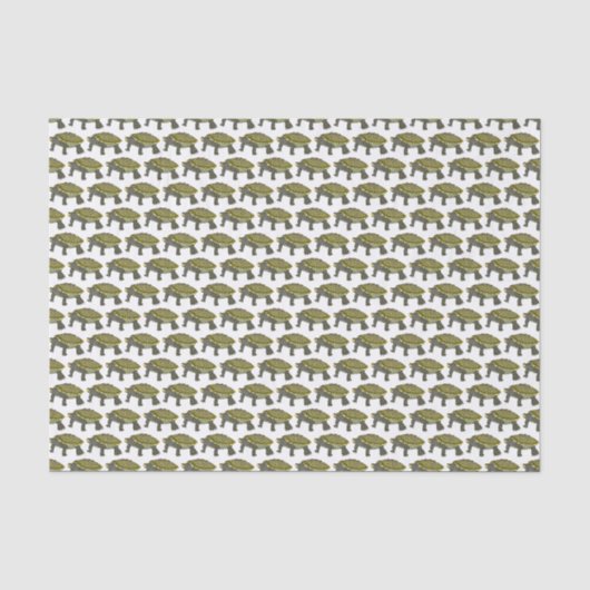 Terrapin (wit) - Tissuepapier (Voorkant)