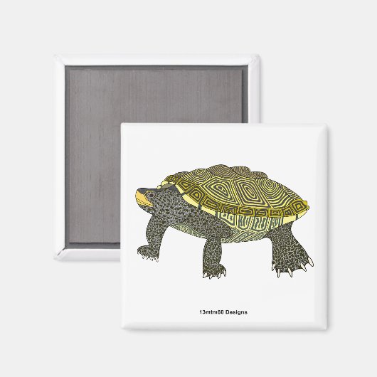 Terrapin (wit) - Vierkante magneet (Voorkant / Achterkant)