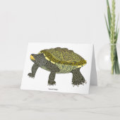 Terrapin (wit) - Wenskaart Kaart (Voorkant)