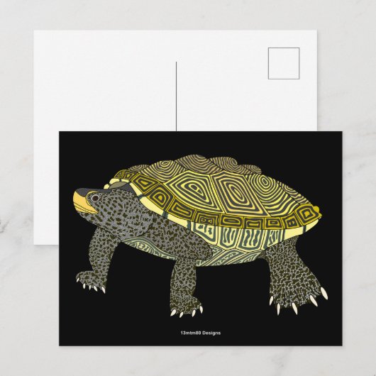 Terrapin (zwart) - Ansichtkaart Briefkaart (Voorkant / Achterkant)