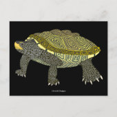 Terrapin (zwart) - Ansichtkaart Briefkaart (Voorkant)
