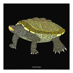 Terrapin (zwart) - Foto afdruk