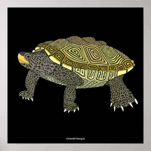 Terrapin (zwart) - Poster Print (Voorkant)