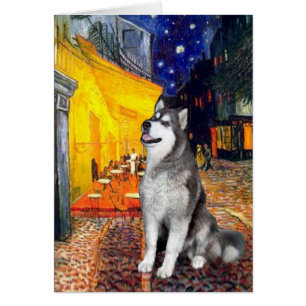 Terras Cafe - Alaskan Malamute