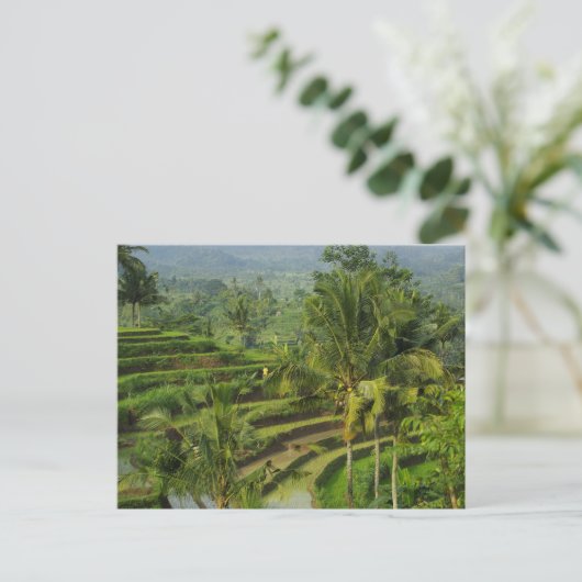 Terras Rijstveld in Bali Briefkaart (Staand voorkant)