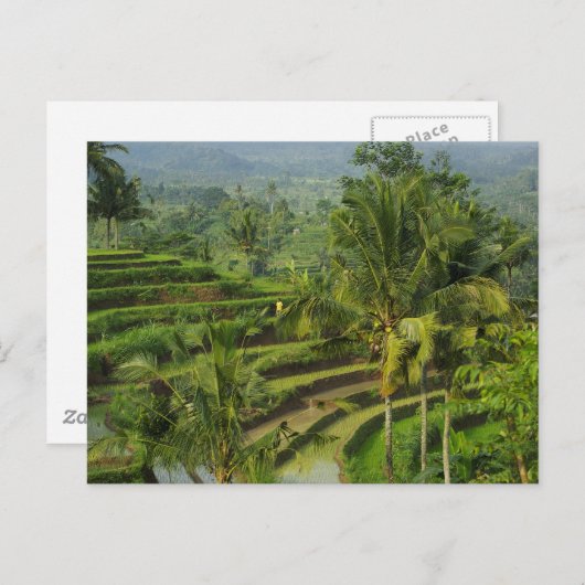 Terras Rijstveld in Bali Briefkaart (Voorkant / Achterkant)
