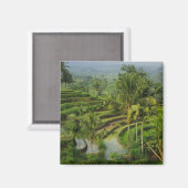 Terras Rijstveld in Bali Magneet (Voorkant / Achterkant)
