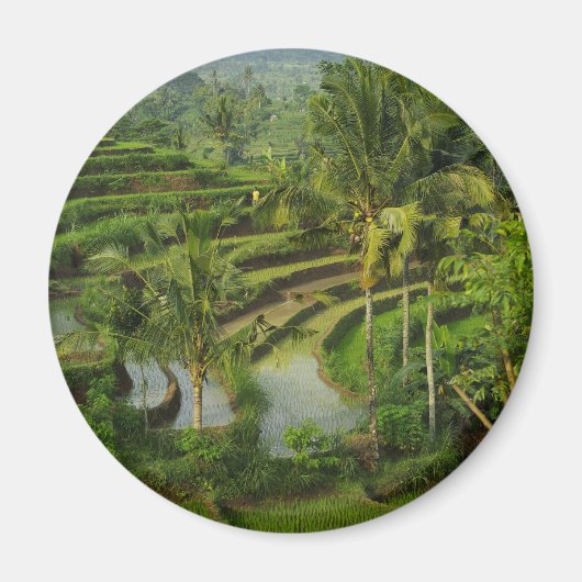 Terras Rijstveld in Bali Magneet (Voorkant)