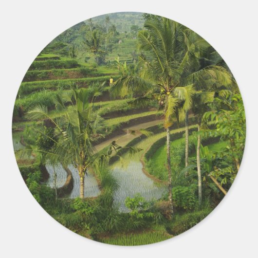 Terras Rijstveld in Bali Ronde Sticker (Voorkant)