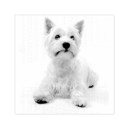 Terras West Highland Rubberstempel (Afrduk)