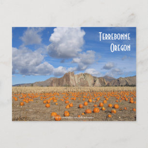 Terrebonne Pumpkins Briefkaart