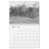 Terrel Photography 2010 Kalender (Feb 2027)