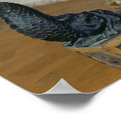 Terrestrisch wereldbol en hemelzee poster (Hoek)