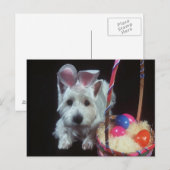 Terrier Bunny - Briefkaart (Voorkant / Achterkant)