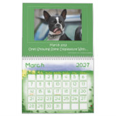 Terrier Calendar 2013 Boston Kalender (Mar 2027)