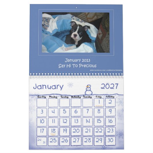 Terrier Calendar 2013 Boston Kalender (Jan 2027)