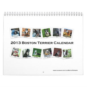 Terrier Calendar 2013 Boston Kalender
