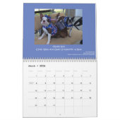 Terrier Calendar 2014 Boston Kalender (Mar 2026)