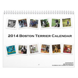 Terrier Calendar 2014 Boston Kalender