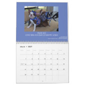 Terrier Calendar 2014 Boston Kalender (Mar 2027)
