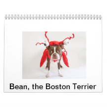 Terrier Calendar 2015 Boston