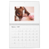 Terrier Calendar 2015 Boston Kalender (Feb 2027)