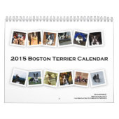 Terrier Calendar 2015 Boston Kalender (Hoes)