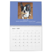 Terrier Calendar 2015 Boston Kalender (Mar 2027)