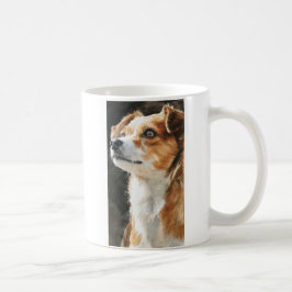 Terriër Chihuahua gemengd ras hond close-up Koffiemok