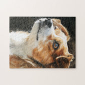 Terriër Chihuahua gemengd ras hond close-up Legpuzzel (Horizontaal)