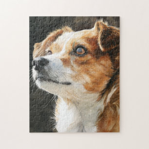 Terriër Chihuahua gemengd ras hond close-up Legpuzzel