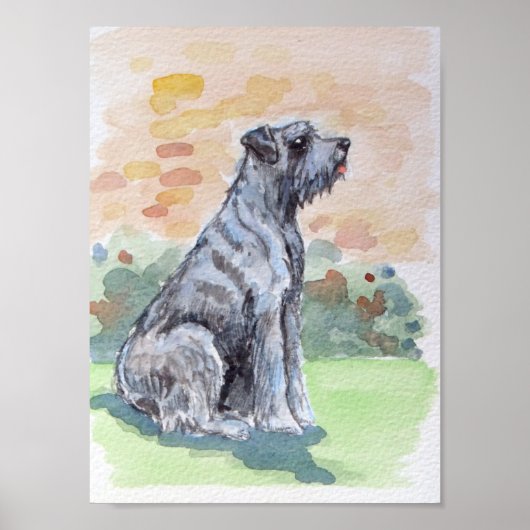 Terrier Dog Poster (Voorkant)