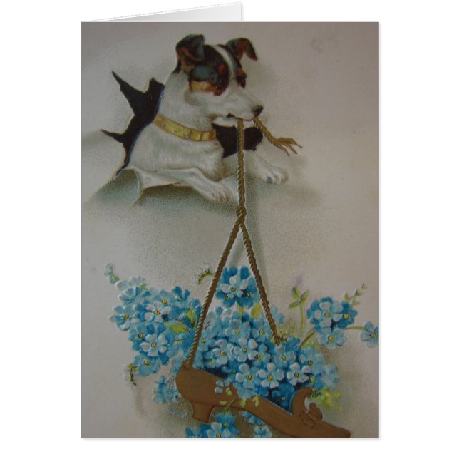 Terrier en Shoe (Voorkant)