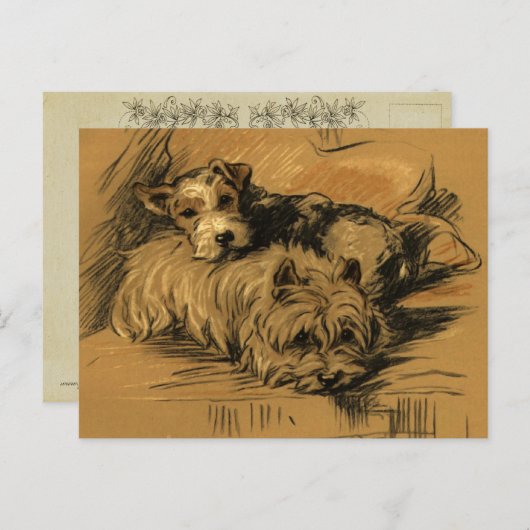  Terrier en Westie Briefkaart (Voorkant / Achterkant)